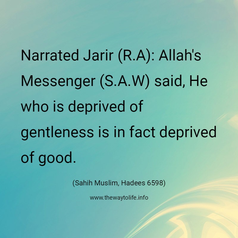 Sahih Muslim, Hadith No. 6598: Narrated Jarir (R.A): Allah's Messenger (S.A.W) said, He who is deprived of gentleness is in fact deprived of good.